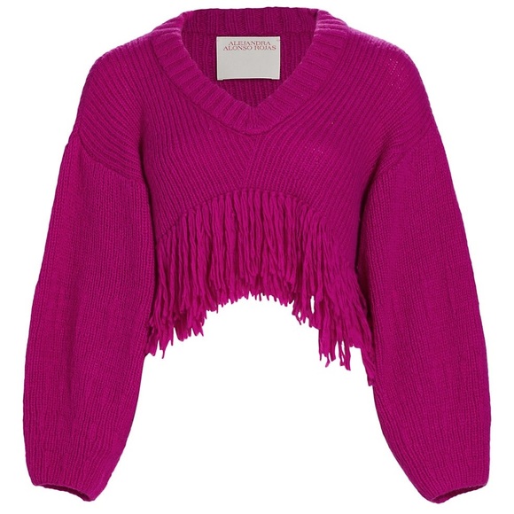Alejandra Alonso Rojas. Cashmere Wool Blend Vee Neck Sweater w/ Fringe. Cropped. - Picture 1 of 13